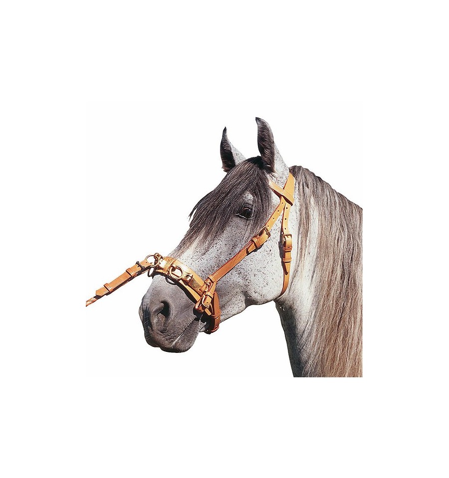 Cabezada para caballo con serreta articulada 