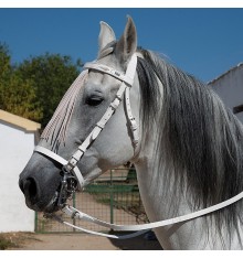 Cabezada blanca para caballo Marjoman