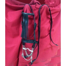 Vaquera bridle with leather decoration