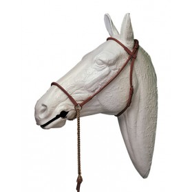 Cabezada de presentación para caballo árabe 