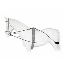 Sistema de entrenamiento Pessoa