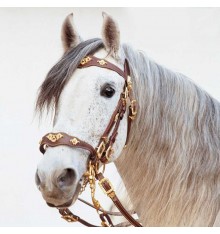 Cabezada portuguesa con doble rienda Marjoman