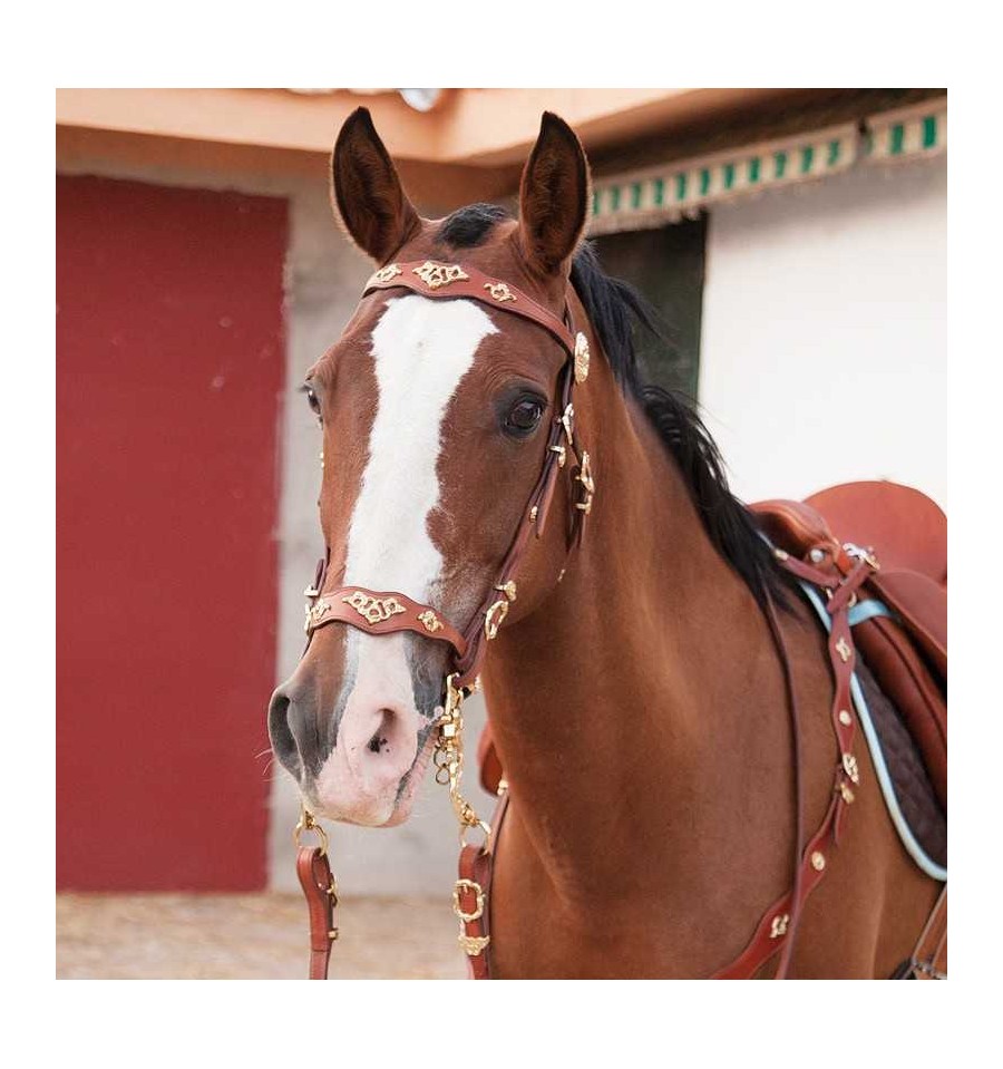 Cabezada portuguesa una rienda, pechopetral y baticola