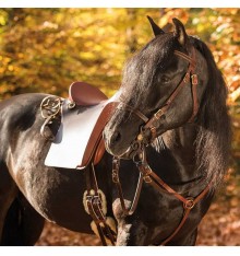 Silla portuguesa Relvas Lusitania